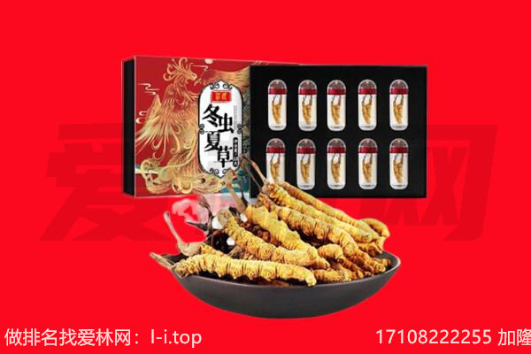 沈阳苏家屯区回收虫草.jpg